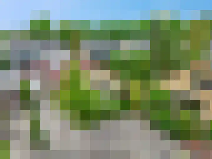 Rienderstein 9 Ede thumbnail 47