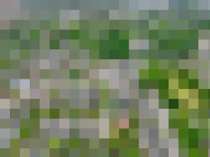 Rienderstein 9 Ede thumbnail 51