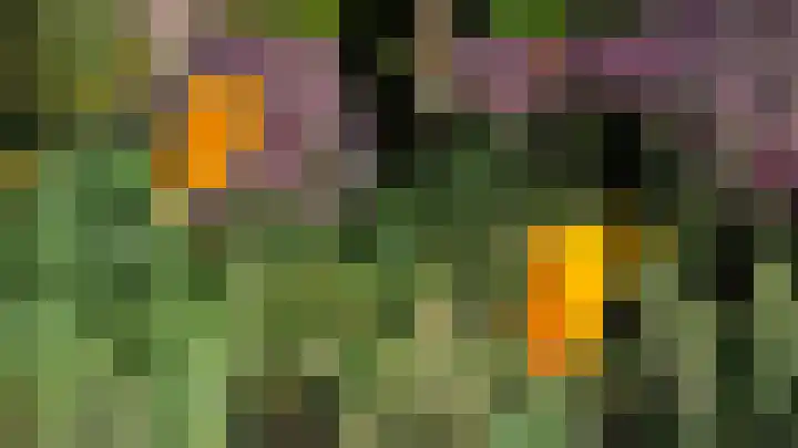 Rienderstein 9 Ede thumbnail 53