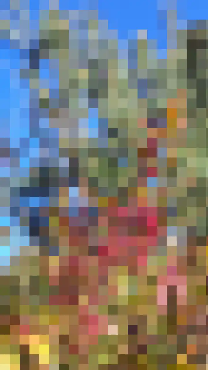 Rienderstein 9 Ede thumbnail 56