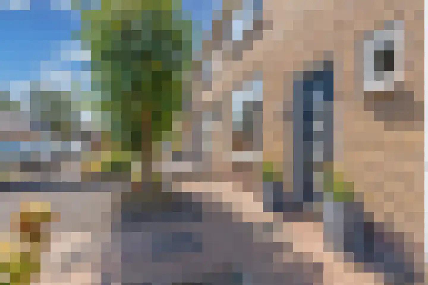 Rienstraat 20 Scharsterbrug thumbnail 6