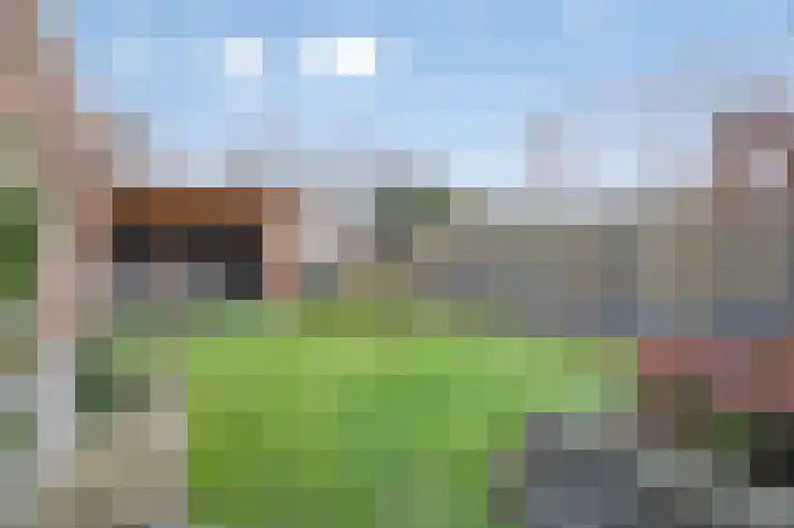 Rienstraat 6 Urmond thumbnail 13