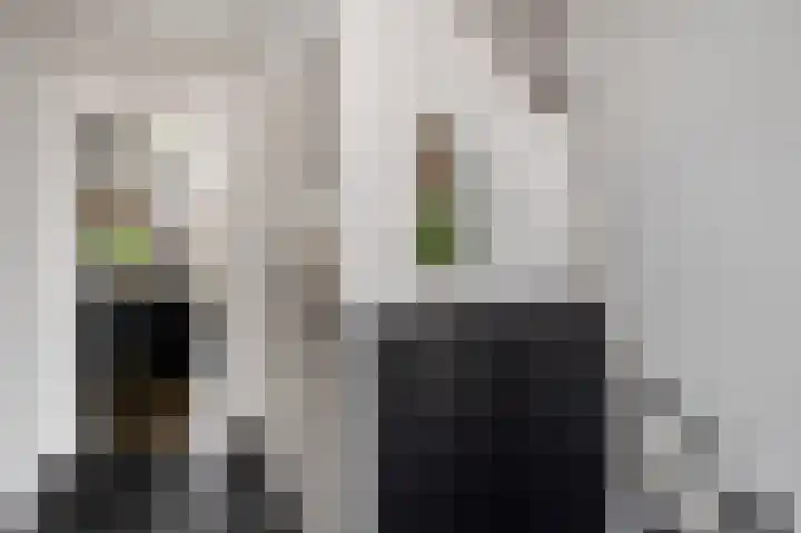 Rienstraat 6 Urmond thumbnail 16