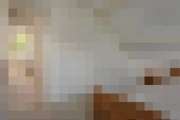 Rients Koopmansstraat 4 Franeker thumbnail 30
