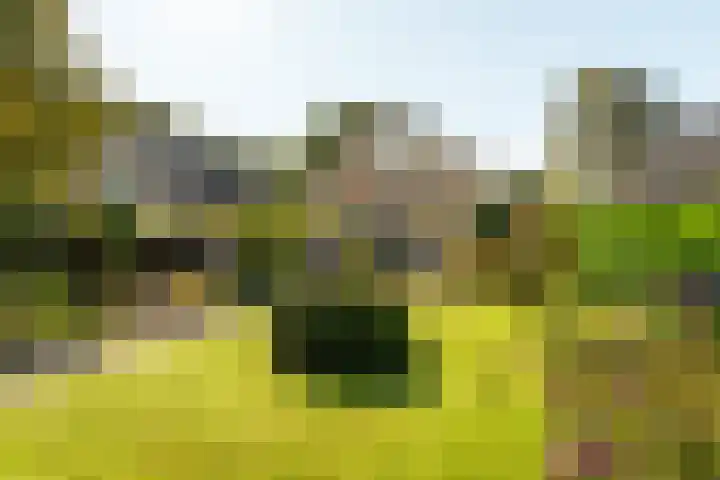 Rients Koopmansstraat 4 Franeker thumbnail 33