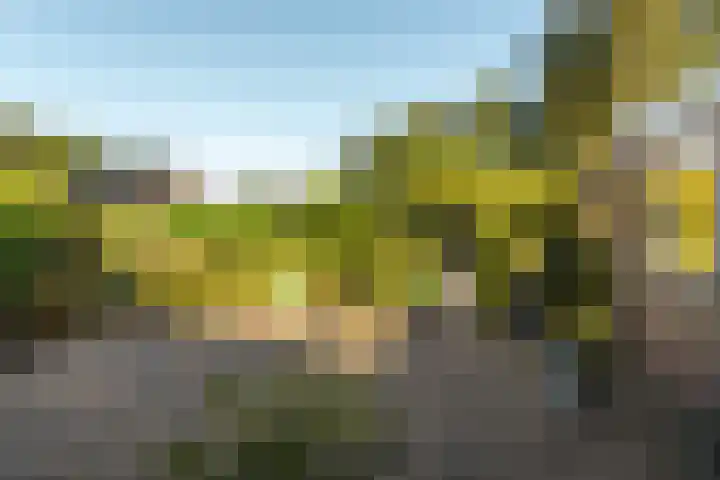 Rients Koopmansstraat 4 Franeker thumbnail 35