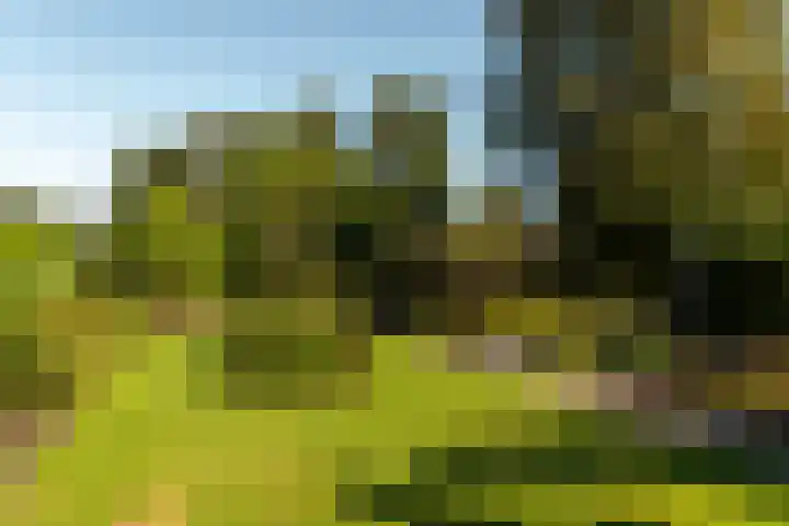 Rients Koopmansstraat 4 Franeker thumbnail 36