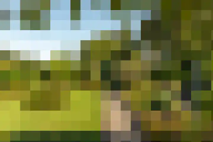 Rients Koopmansstraat 4 Franeker thumbnail 37