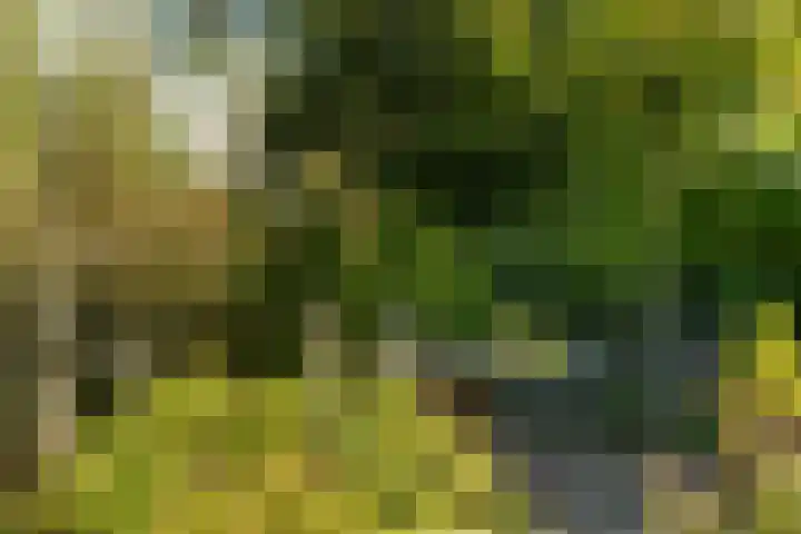 Rients Koopmansstraat 4 Franeker thumbnail 38