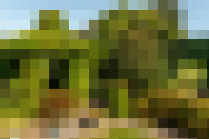 Rients Koopmansstraat 4 Franeker thumbnail 39