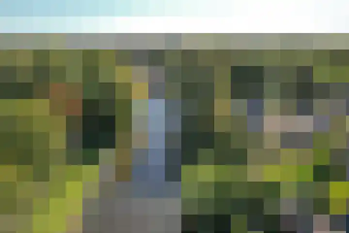 Rients Koopmansstraat 4 Franeker thumbnail 4