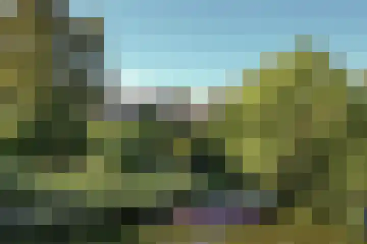 Rients Koopmansstraat 4 Franeker thumbnail 41
