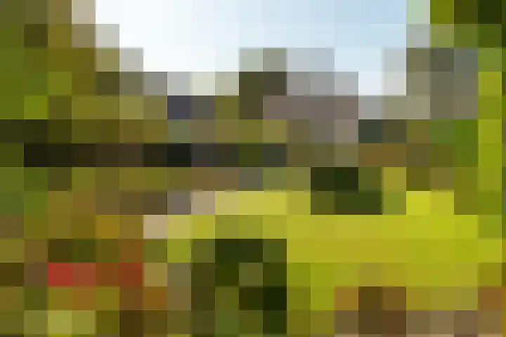 Rients Koopmansstraat 4 Franeker thumbnail 5