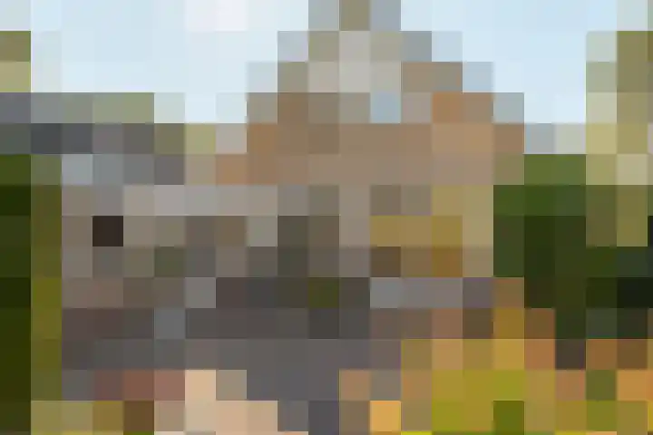 Rients Koopmansstraat 4 Franeker thumbnail 6