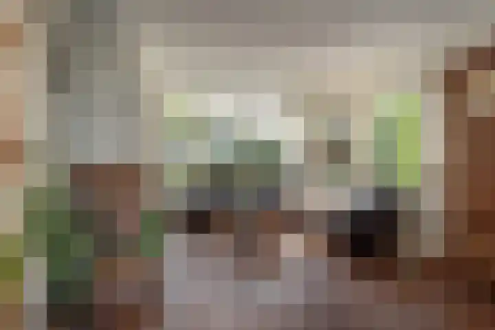 Rients Koopmansstraat 4 Franeker thumbnail 9