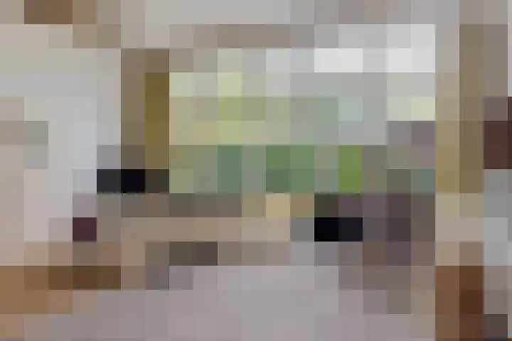 Rients Westrastrjitte 1 Sexbierum thumbnail 10