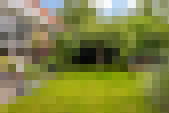 Rients Westrastrjitte 1 Sexbierum thumbnail 13