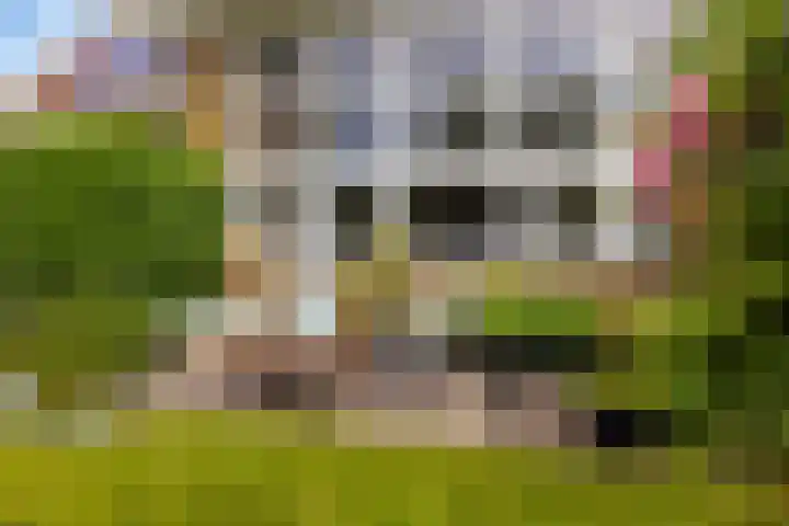 Rients Westrastrjitte 1 Sexbierum thumbnail 14