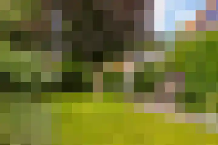 Rients Westrastrjitte 1 Sexbierum thumbnail 15