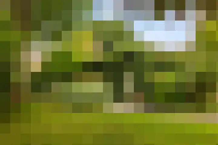 Rients Westrastrjitte 1 Sexbierum thumbnail 16