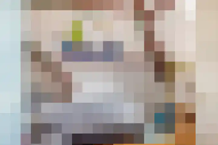 Rients Westrastrjitte 1 Sexbierum thumbnail 20