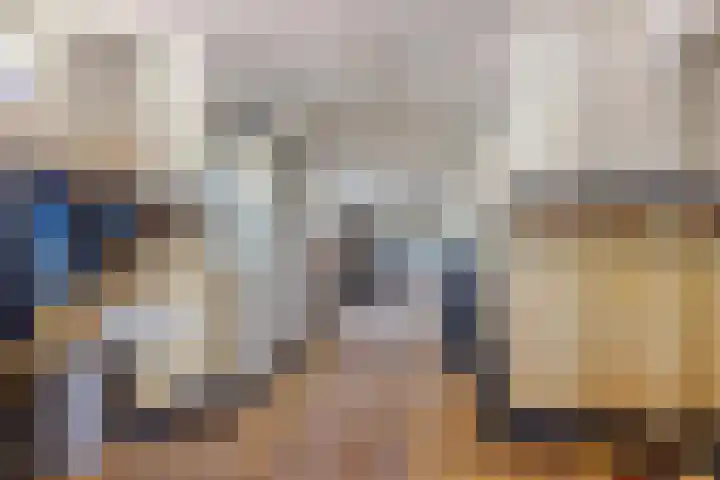 Rients Westrastrjitte 1 Sexbierum thumbnail 29