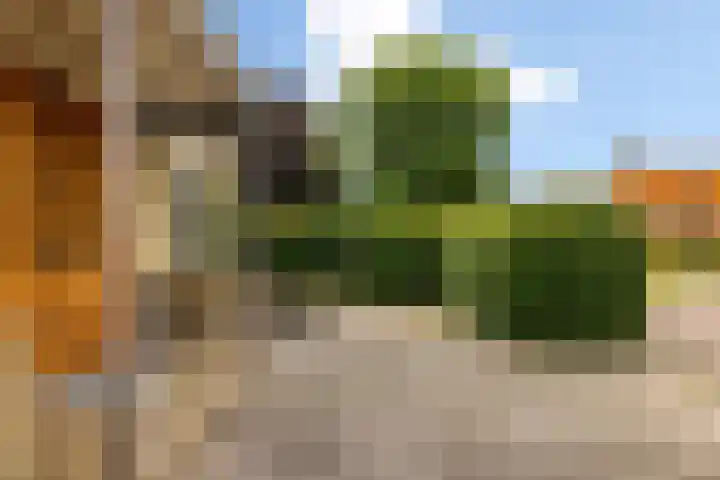 Rients Westrastrjitte 1 Sexbierum thumbnail 35