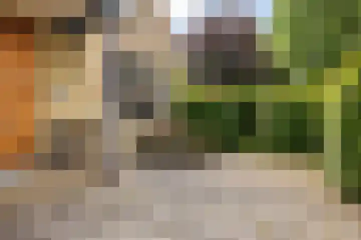 Rients Westrastrjitte 1 Sexbierum thumbnail 36