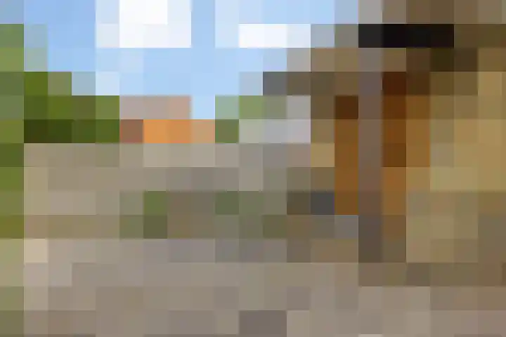 Rients Westrastrjitte 1 Sexbierum thumbnail 37