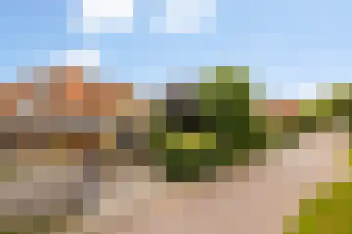 Rients Westrastrjitte 1 Sexbierum thumbnail 39