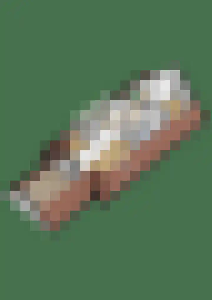 Rients Westrastrjitte 1 Sexbierum thumbnail 44