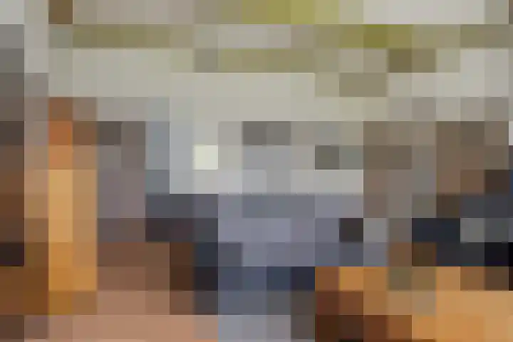 Rients Westrastrjitte 1 Sexbierum thumbnail 6