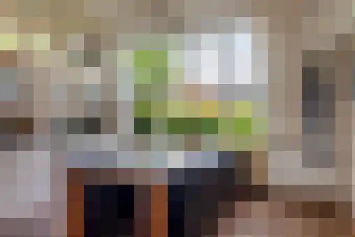 Rients Westrastrjitte 1 Sexbierum thumbnail 7