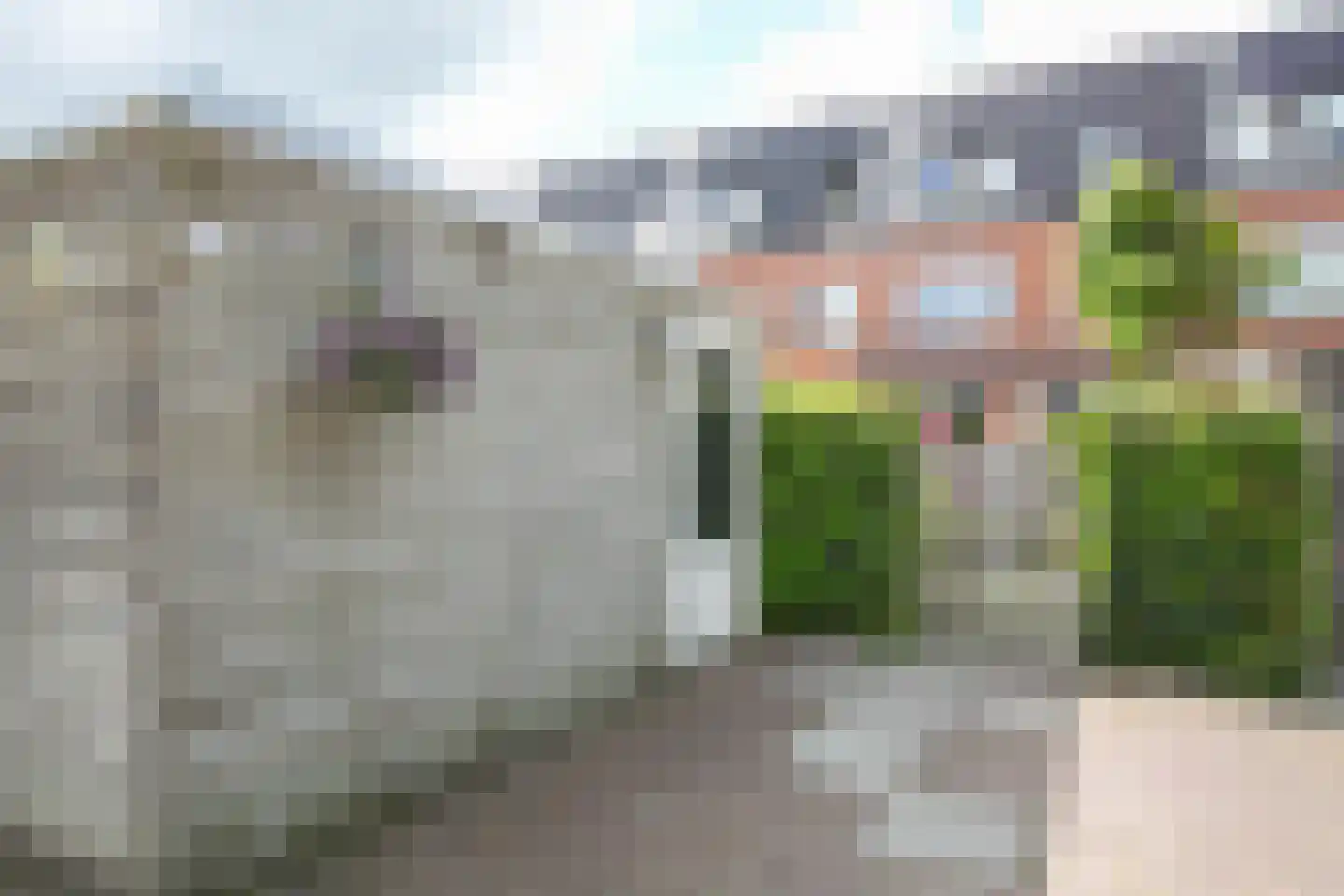 Riesenberg 19 Amersfoort thumbnail 31