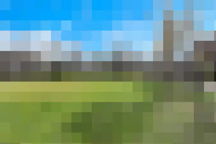 Riesenberg 19 Amersfoort thumbnail 45