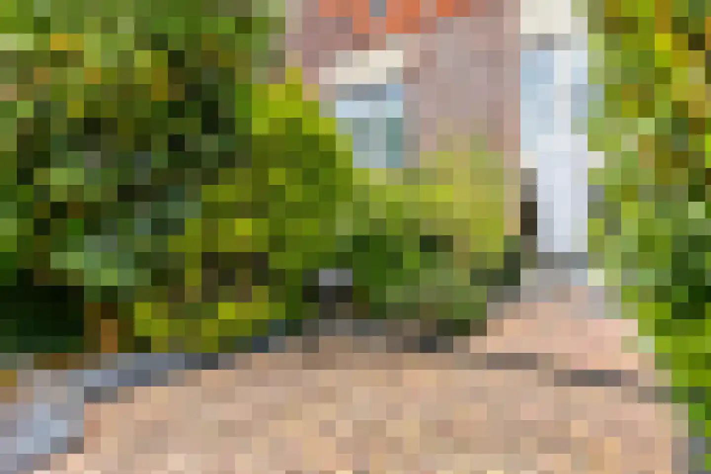 Riesenberg 22 De Meern thumbnail 12