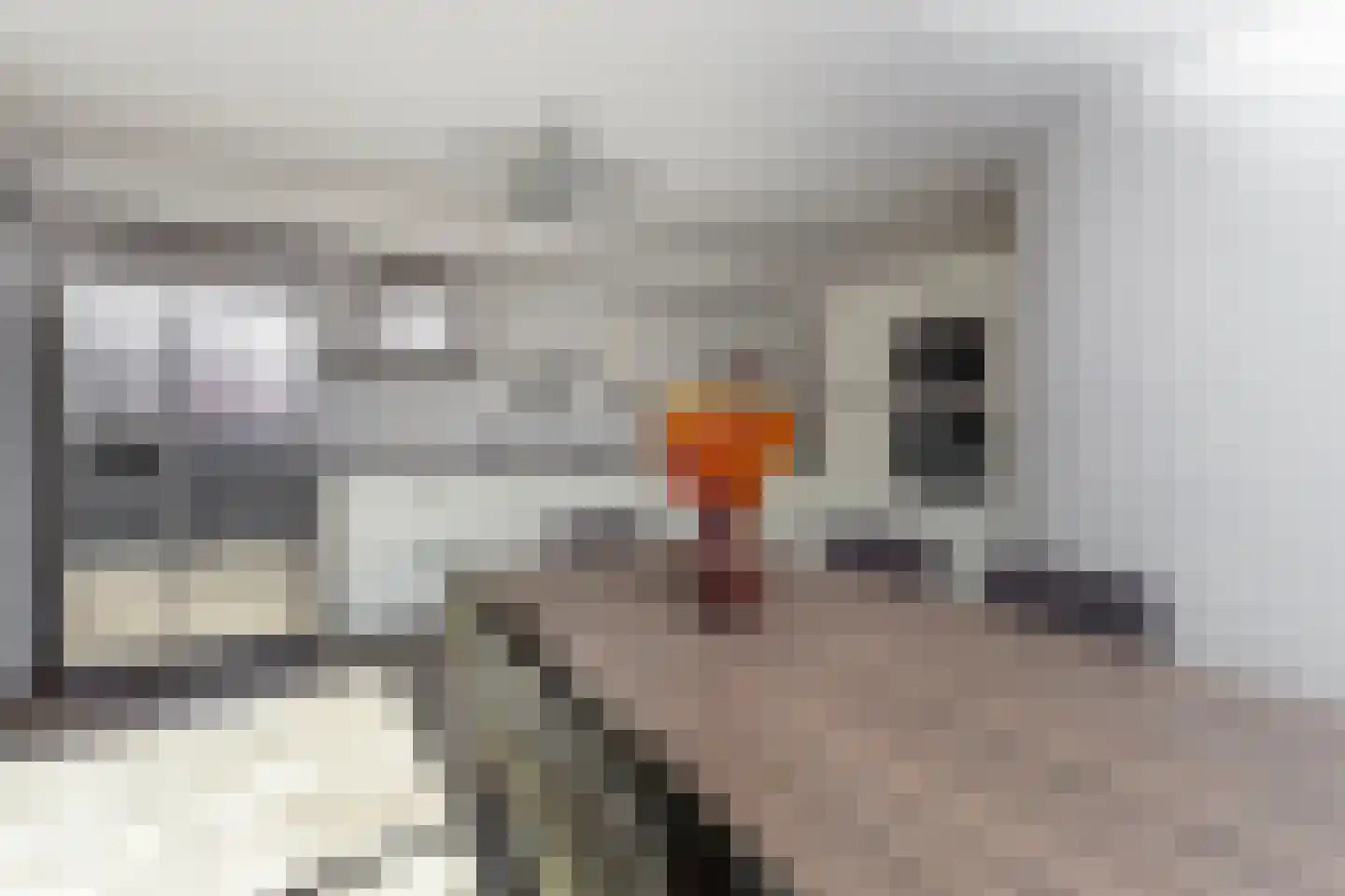 Riesenberg 22 De Meern thumbnail 13