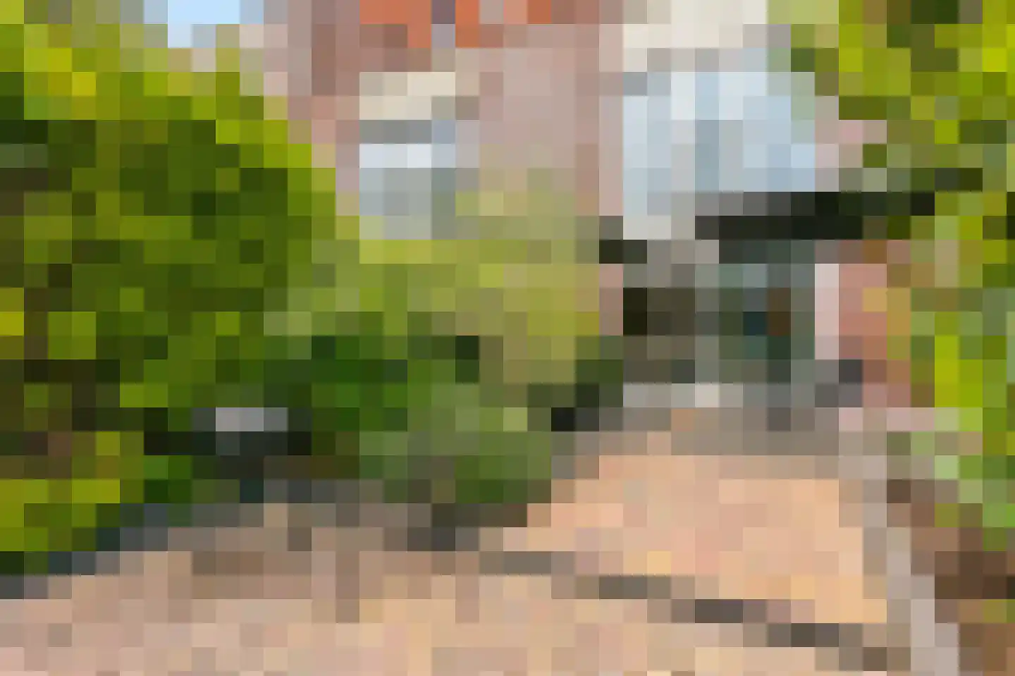 Riesenberg 22 De Meern thumbnail 15