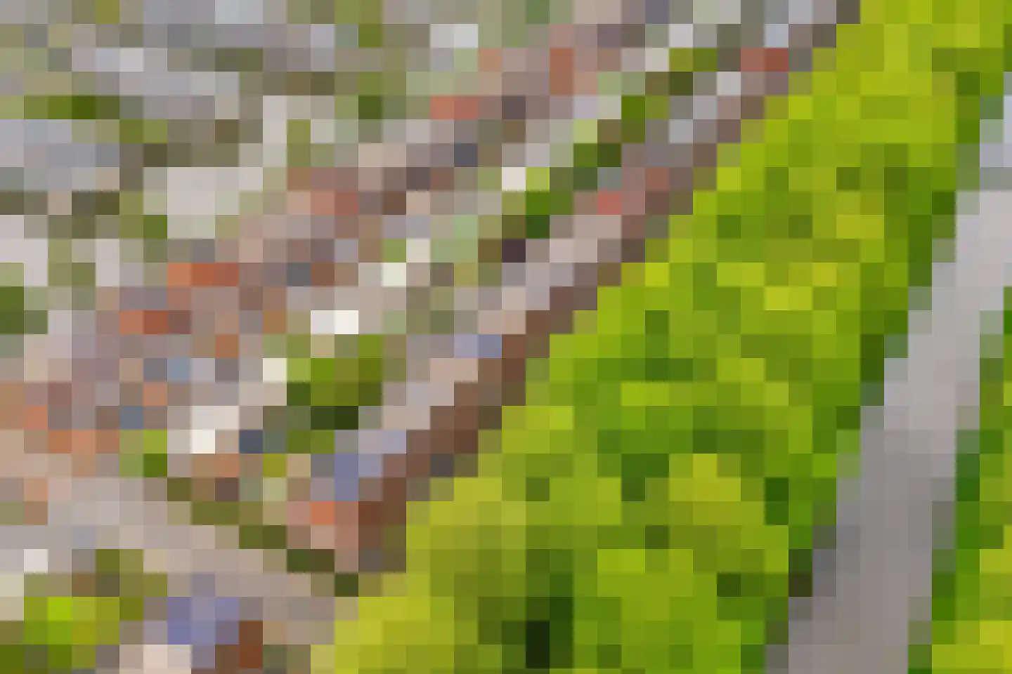 Riesenberg 22 De Meern thumbnail 44