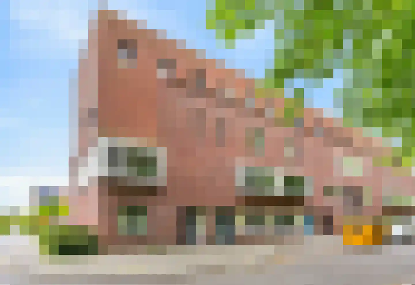 Riesenberg 22 De Meern thumbnail 45