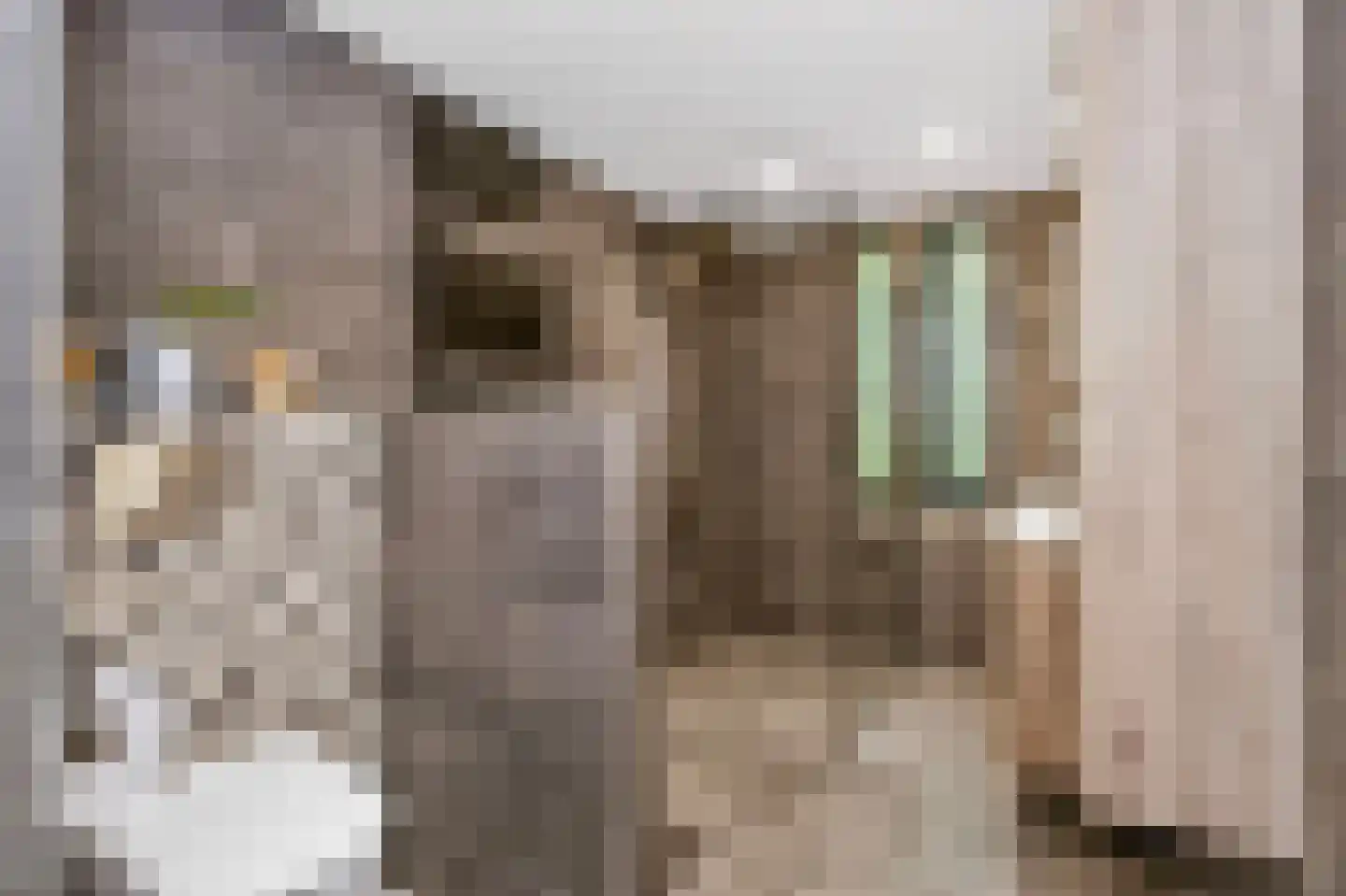 Riesenberg 22 De Meern thumbnail 50