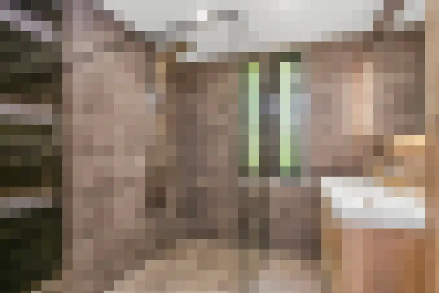 Riesenberg 22 De Meern thumbnail 51