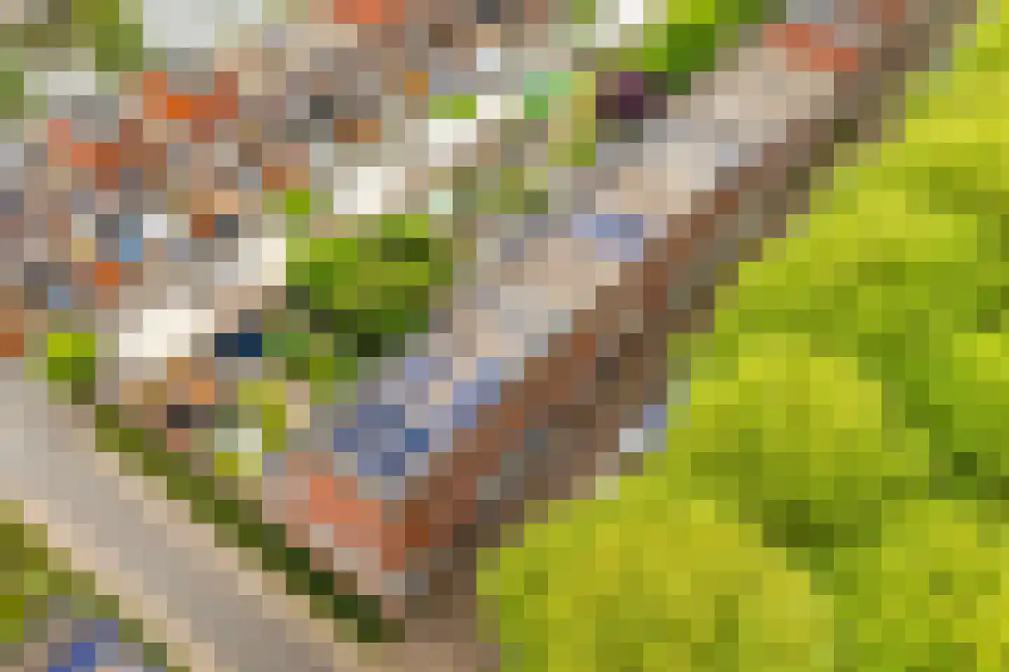Riesenberg 22 De Meern thumbnail 52