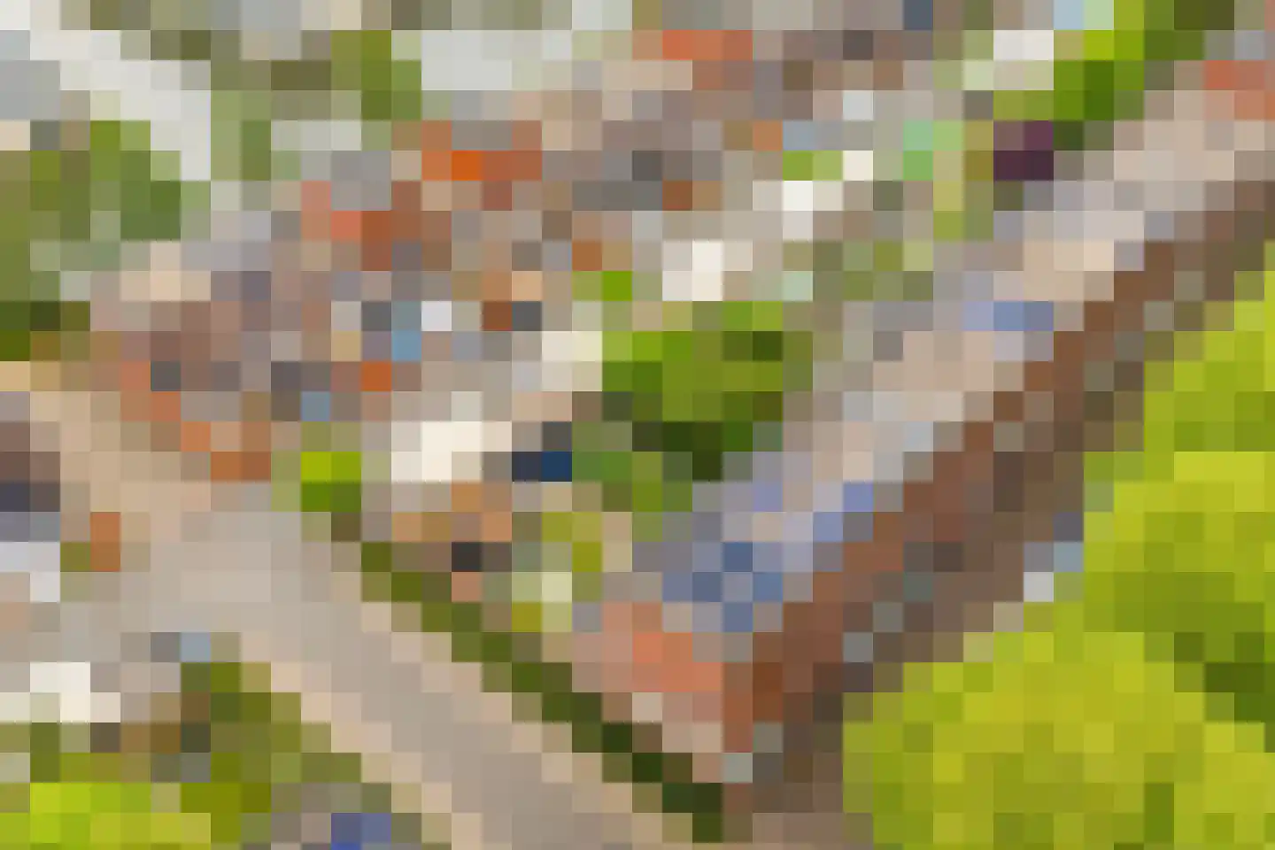 Riesenberg 22 De Meern thumbnail 53