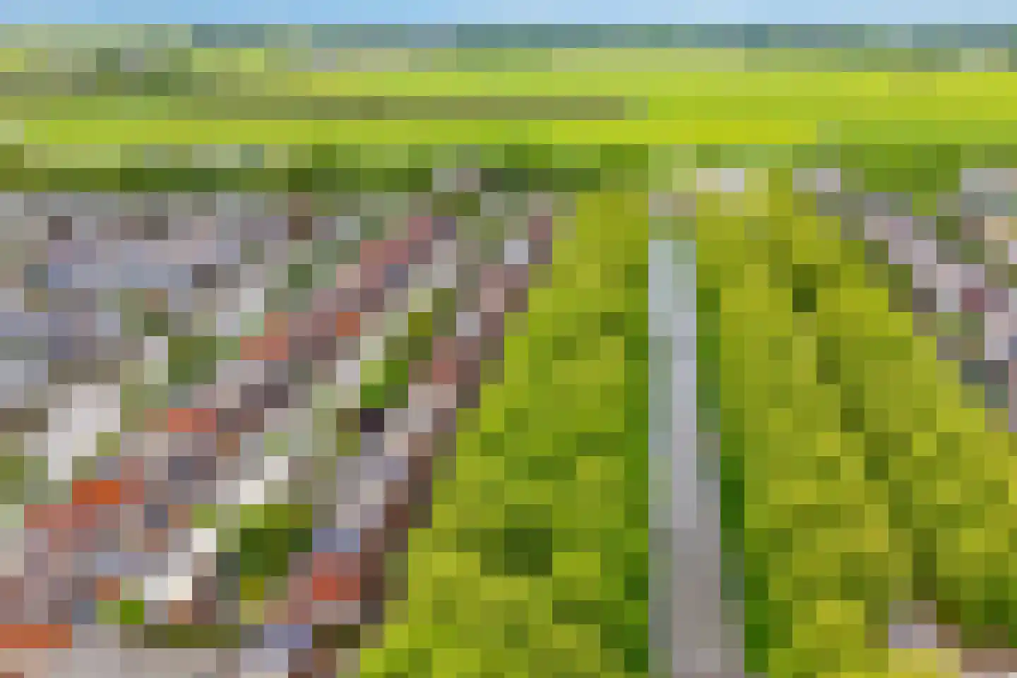 Riesenberg 22 De Meern thumbnail 54