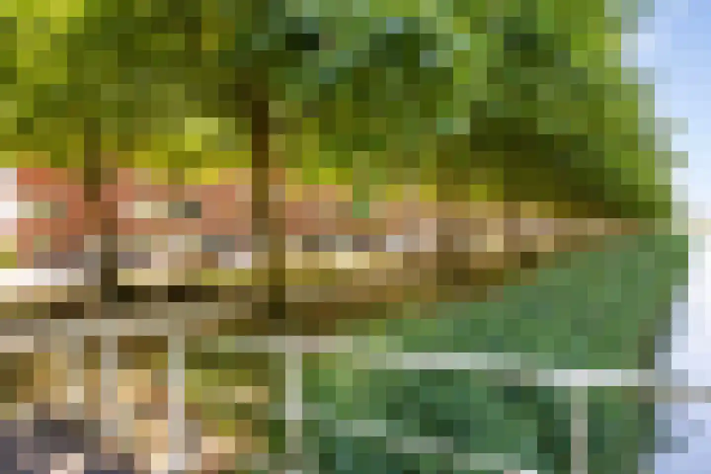 Riesenberg 22 De Meern thumbnail 6