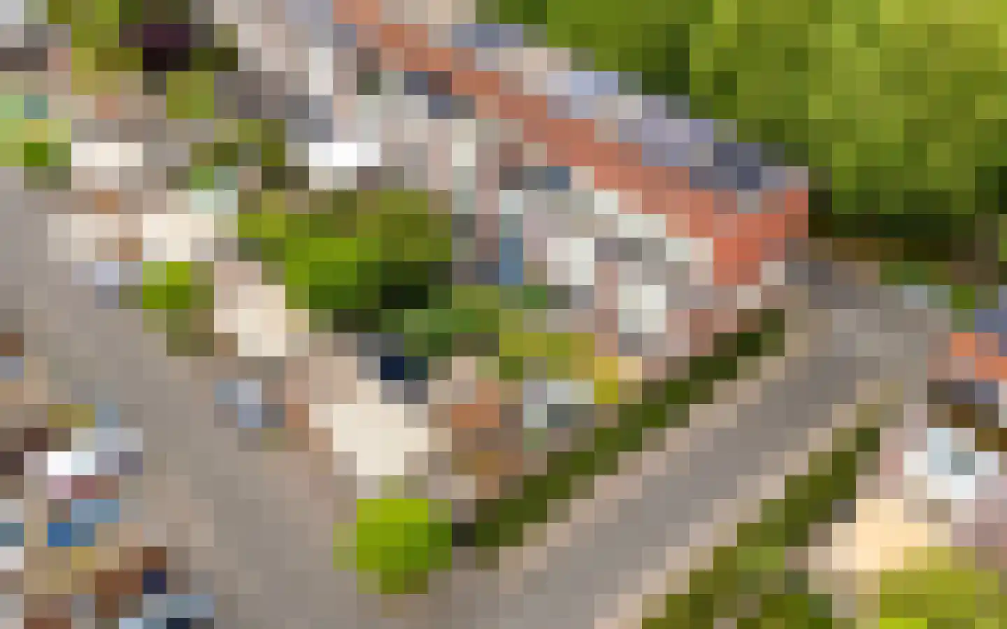 Riesenberg 22 De Meern thumbnail 66