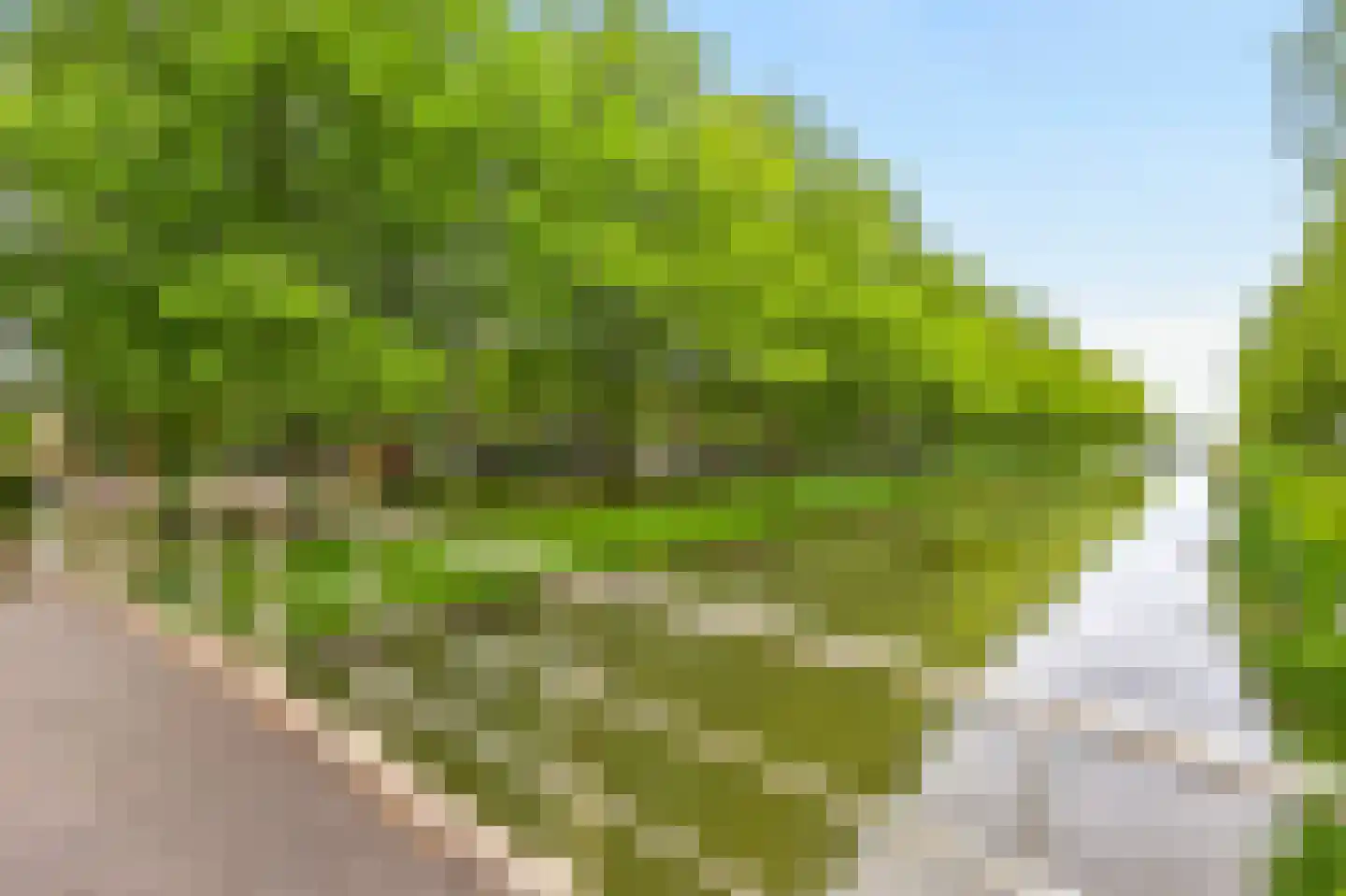 Riesenberg 22 De Meern thumbnail 71