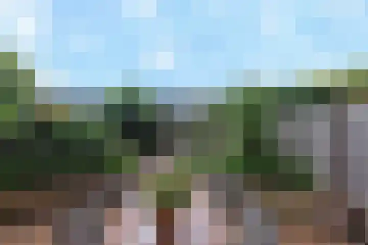 Riesenberg 35 Amersfoort thumbnail 36