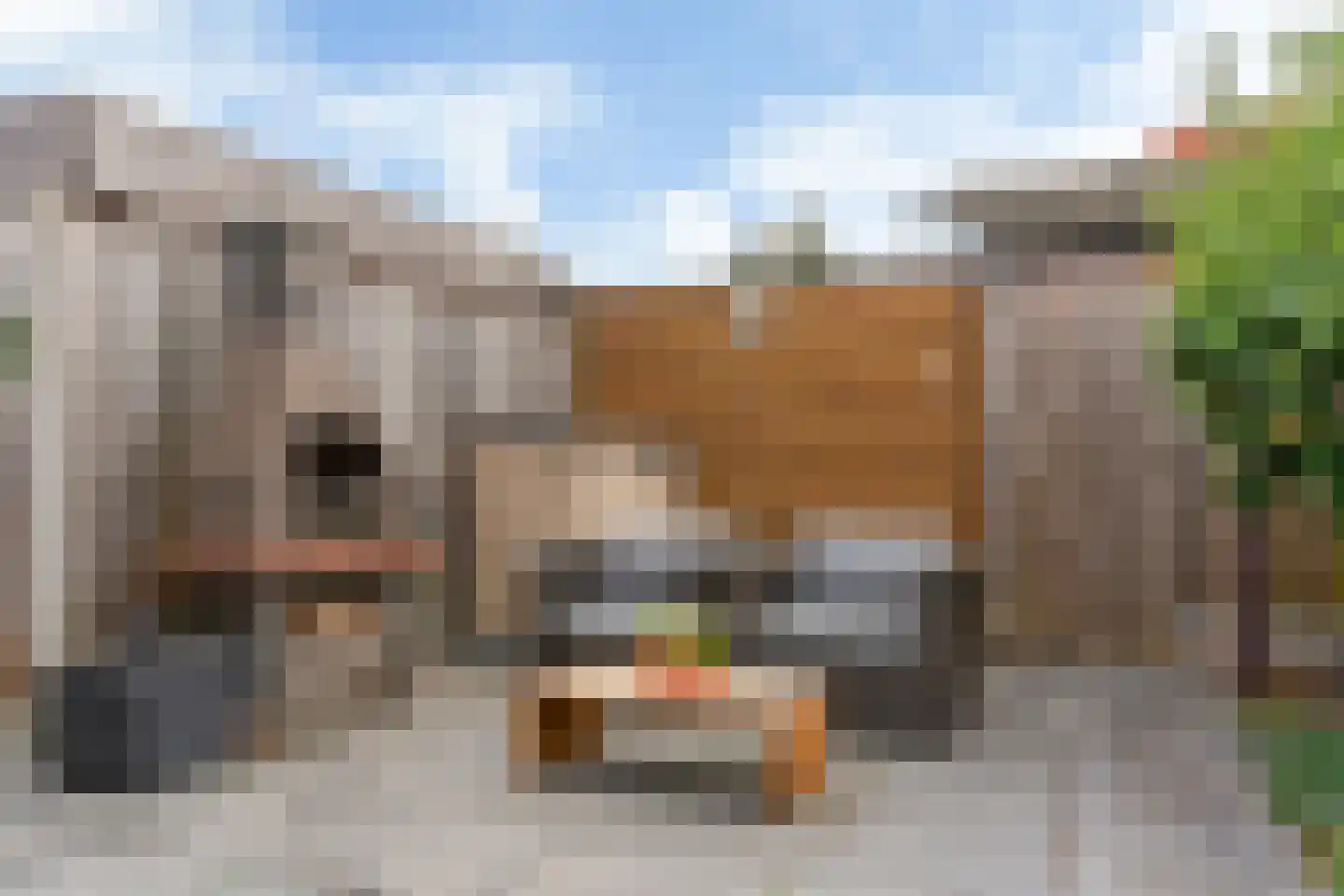 Riesenberg 45 De Meern thumbnail 12